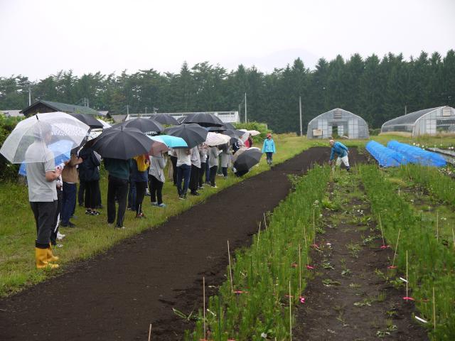 2019岩大植物生命科学科苗畑